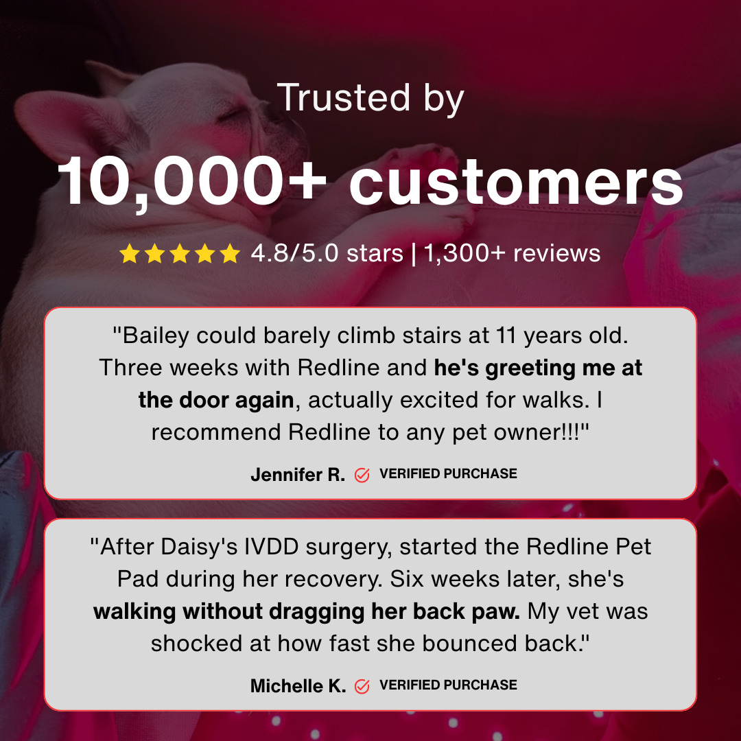 Redline Pet